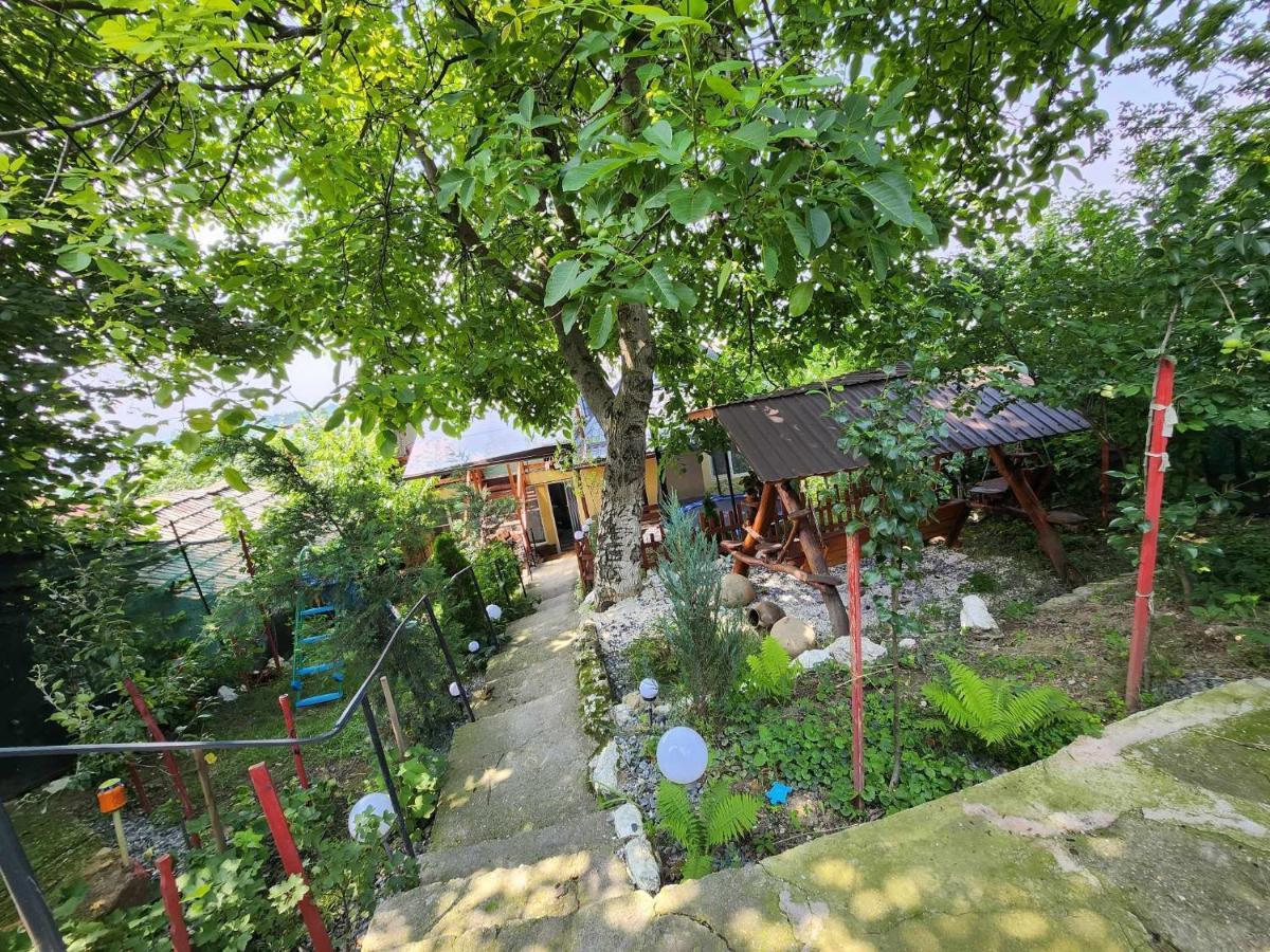 Casa Rool Hotel Turda Bagian luar foto